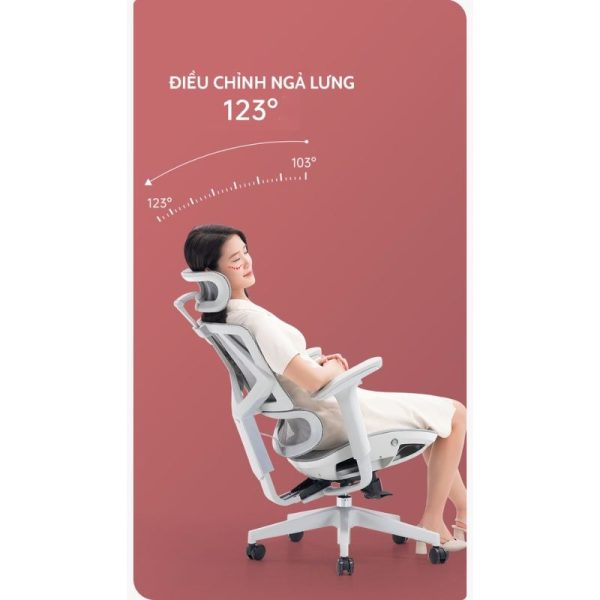 Ghế công thái học Ergonomic Sihoo M91 6 m91 2
